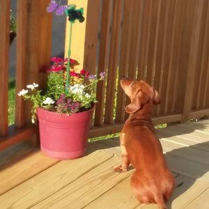 BUNDLE for Spring Cleaning